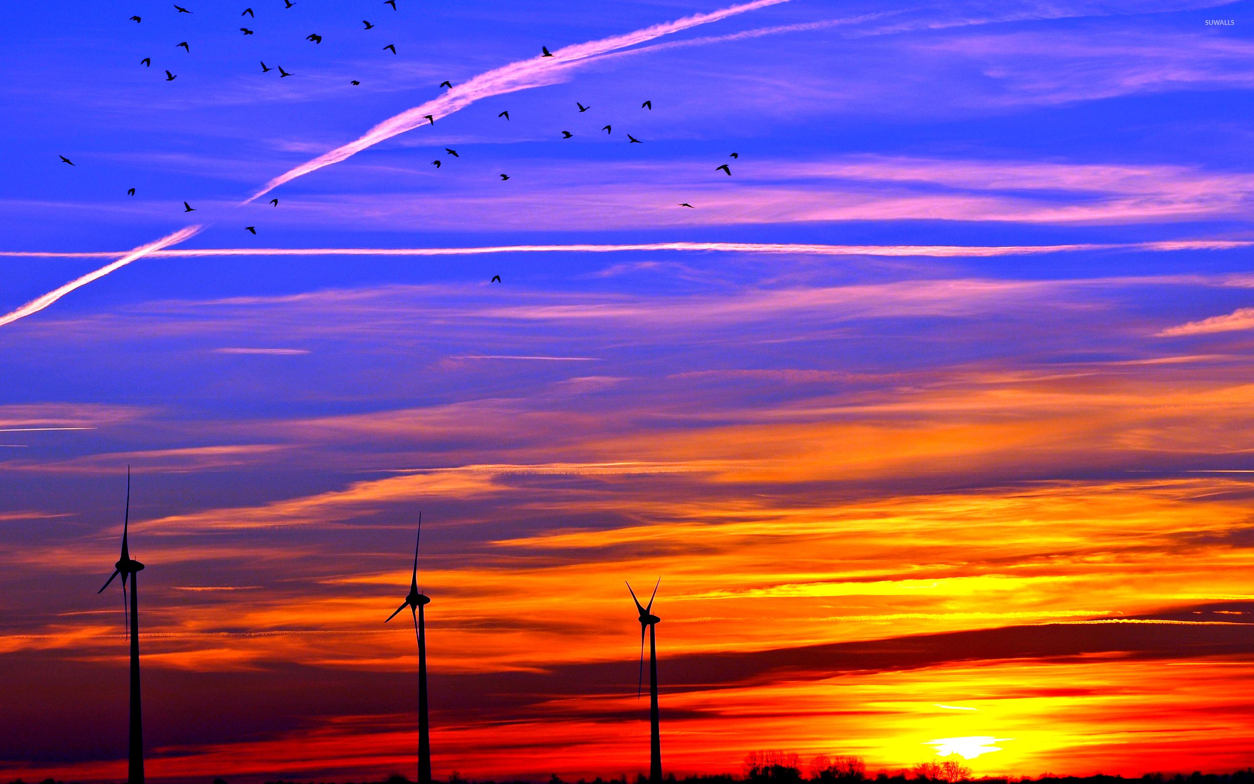 Colorful sunset over the wind turbines wallpaper