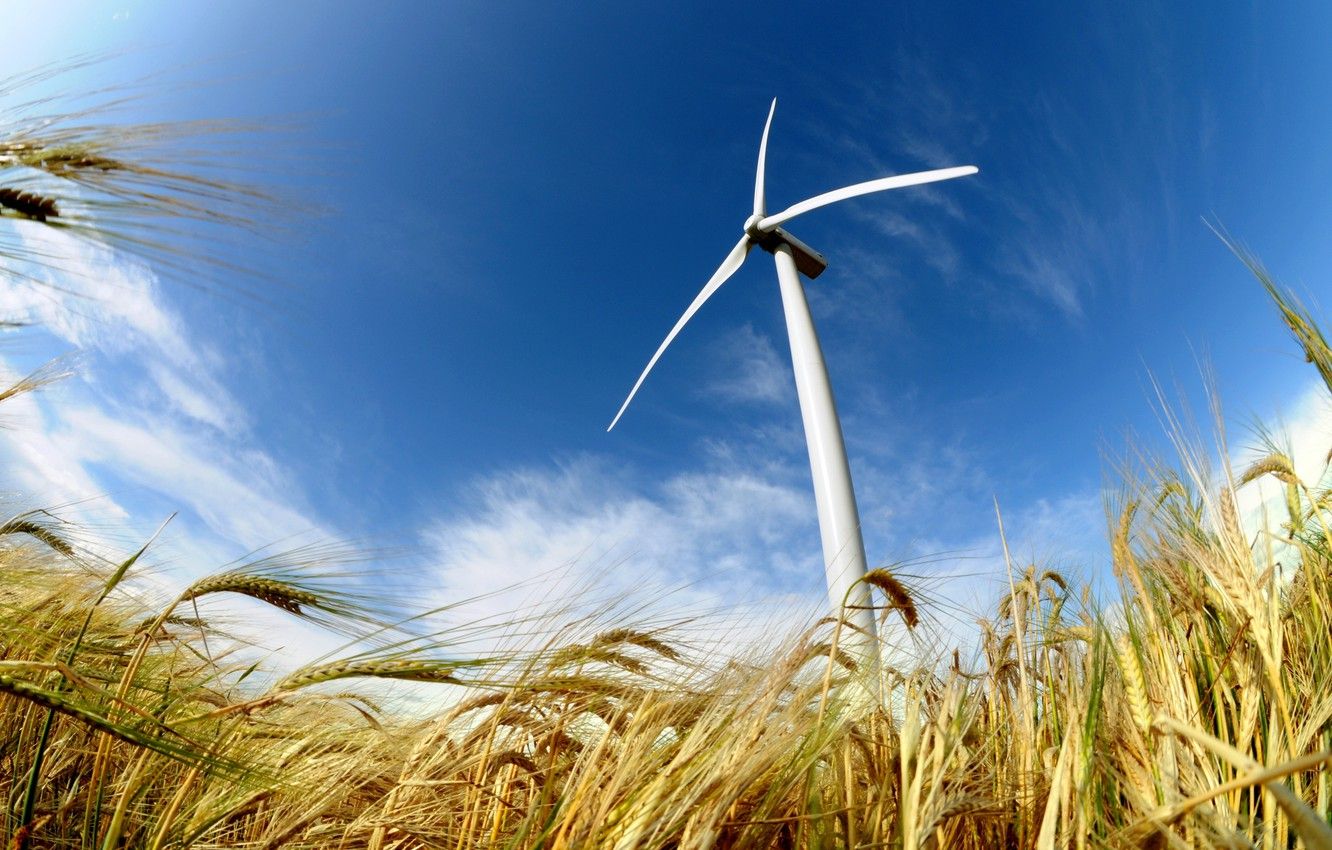 Wallpaper field, power, energy, wind, wind turbine image