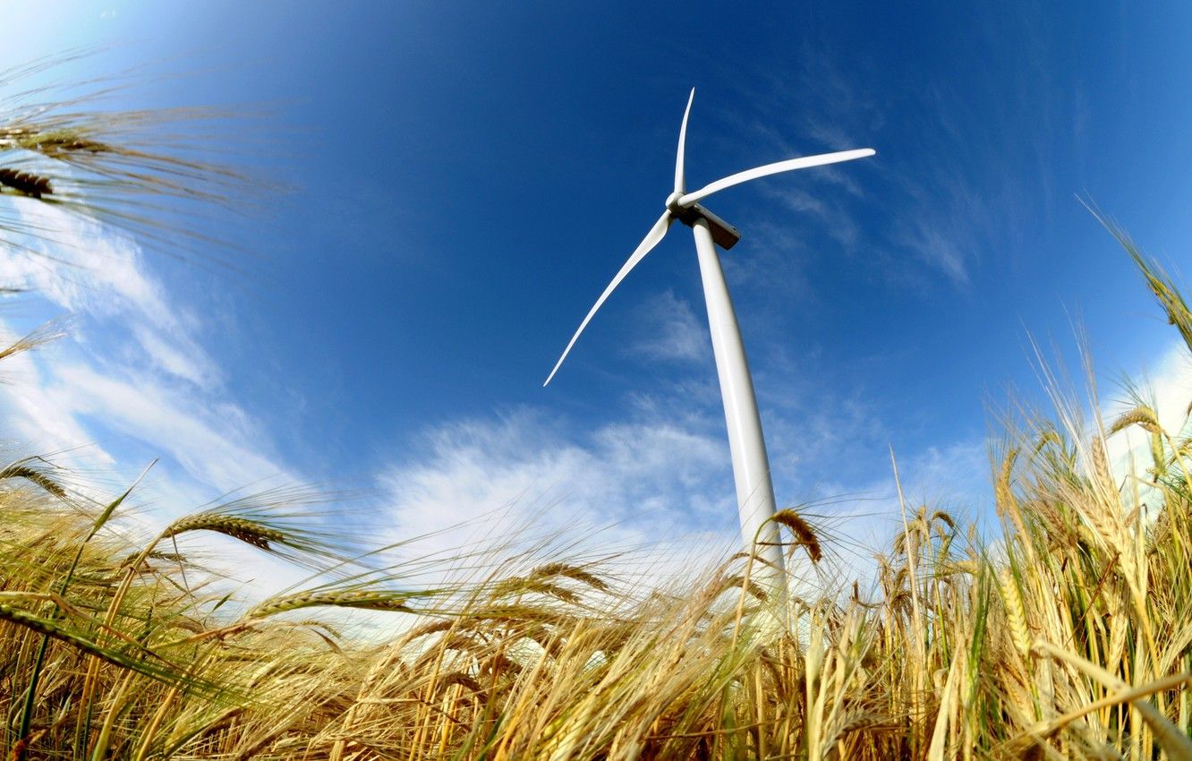 Wallpaper Field, Power, Energy, Wind, Wind Turbine Image For Desktop, Section Hi Tech