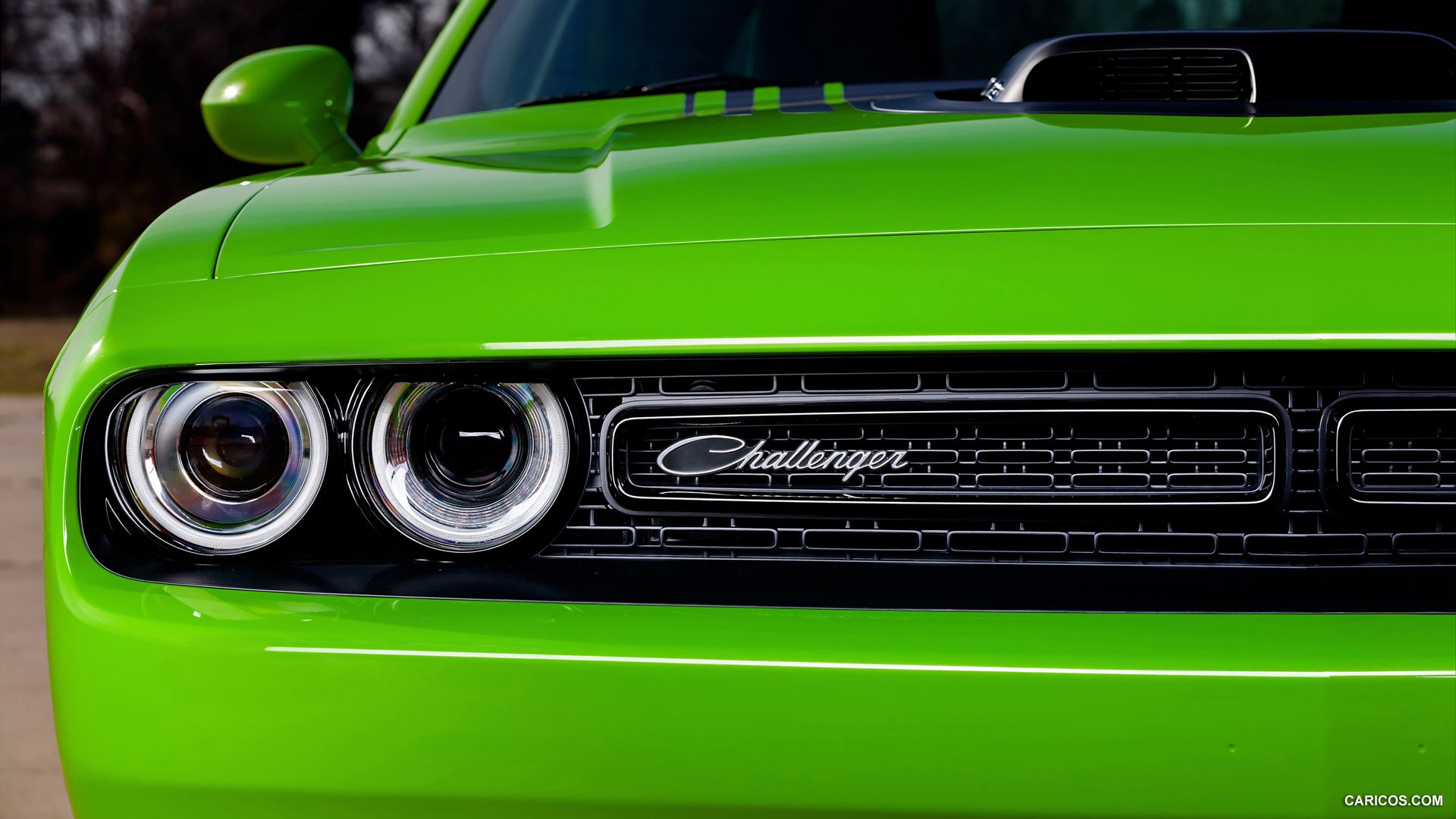 Dodge Challenger. HD Wallpaper