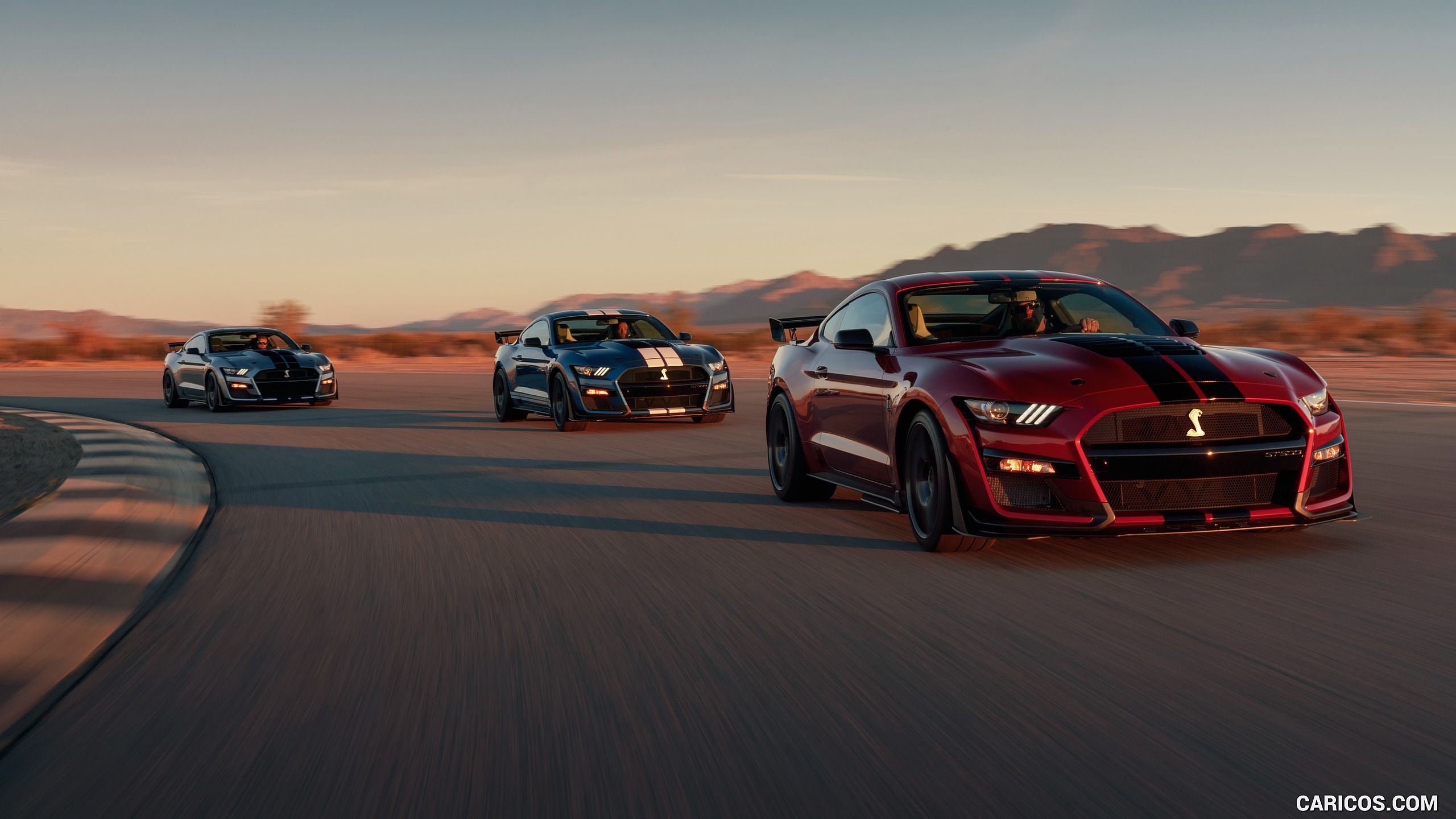 Ford Mustang Shelby GT500. HD Wallpaper