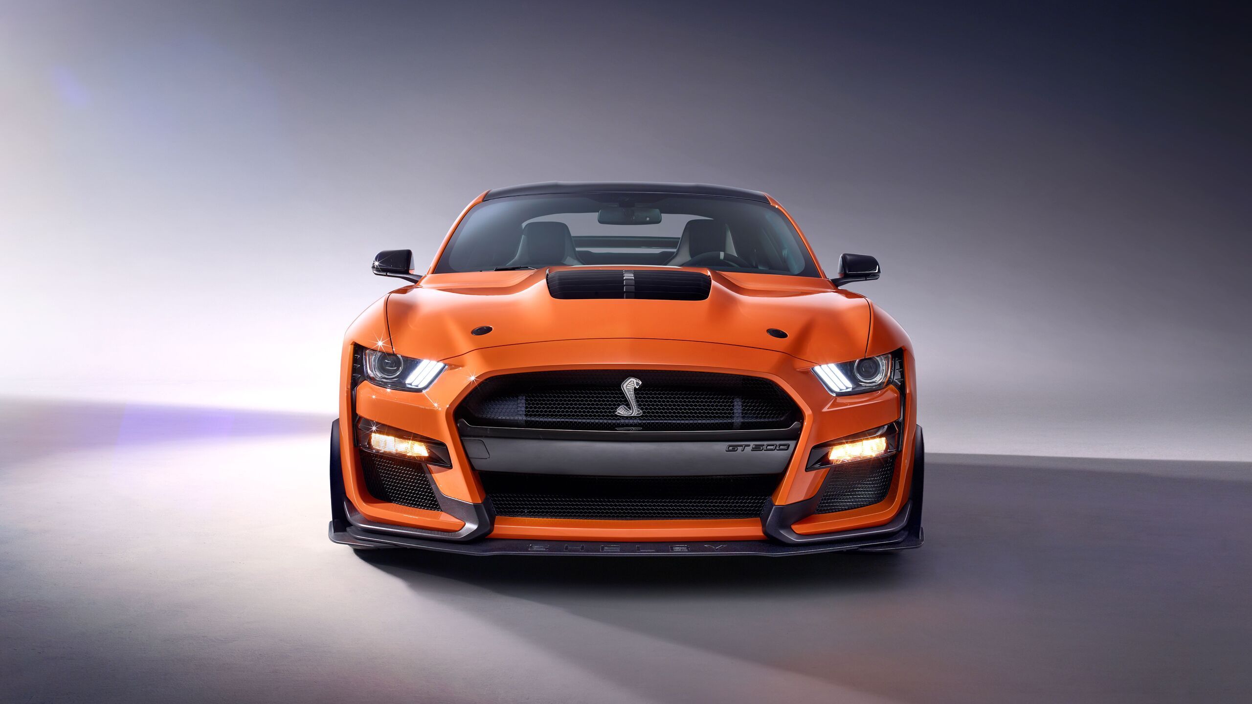 Ford Mustang Shelby GT500 Front 5k 1440P Resolution