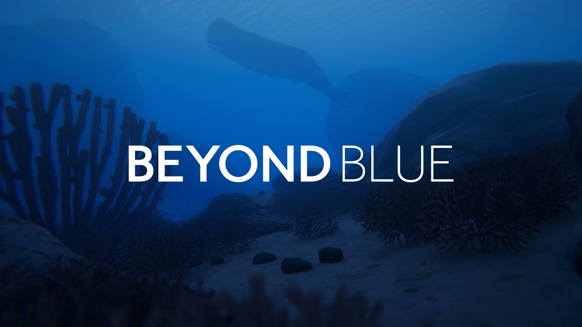 beyond blue media