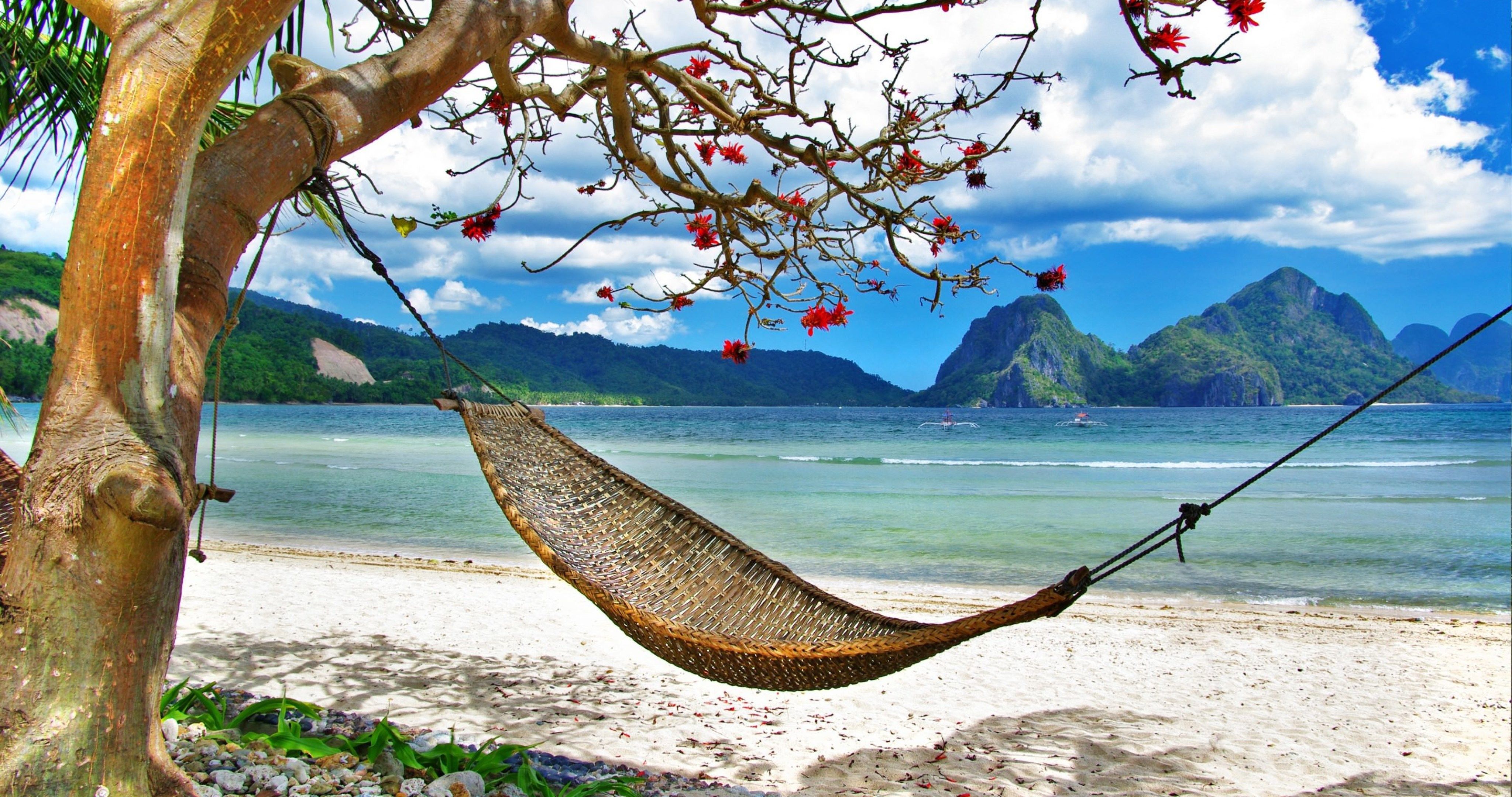 tropical relax on beach 4k ultra HD wallpaper High quality walls