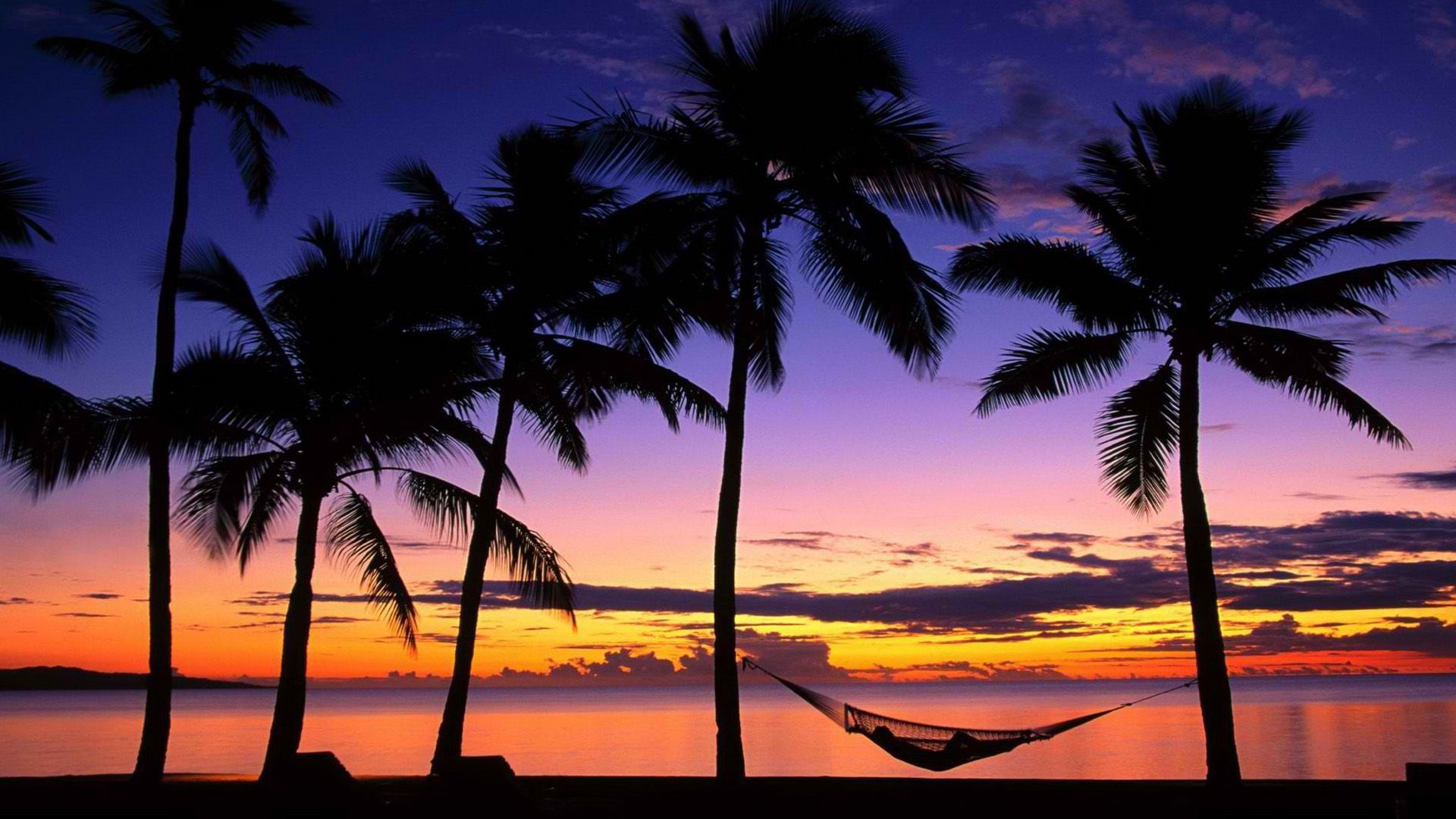 Tropical beach at sunset and palm hammocks Wallpaper. Beach