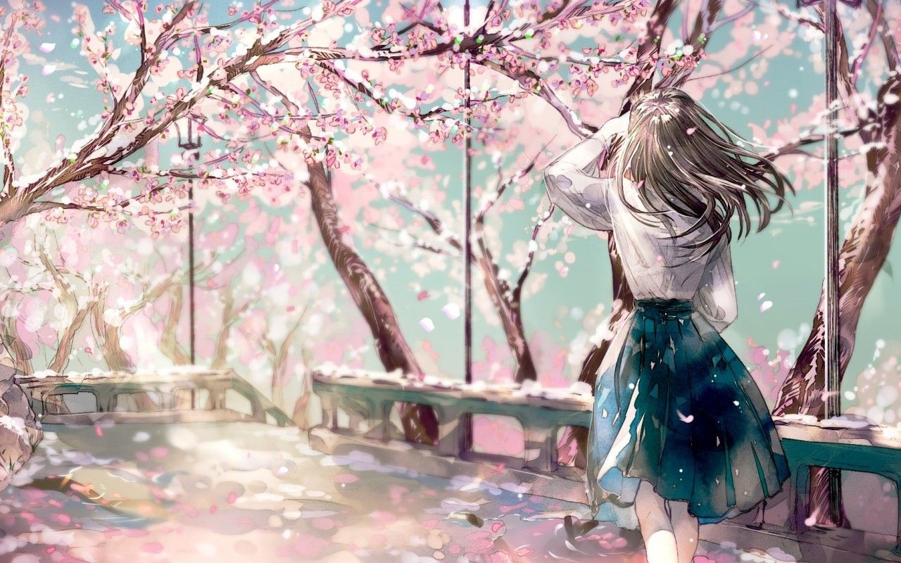 Anime Girl Wallpaper Anime Cherry Blossom Background Wallpaper HD