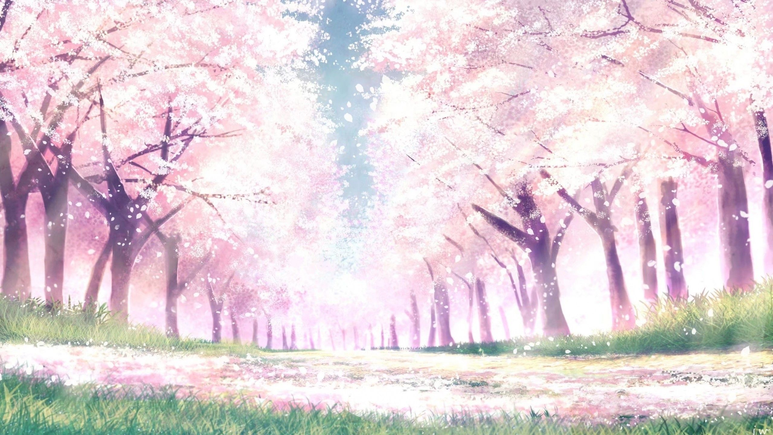 Download 2560x1440 Anime Landscape, Spring, Cherry Blossom, Sakura Bloom, Trees, Path Wallpaper for iMac 27 inch