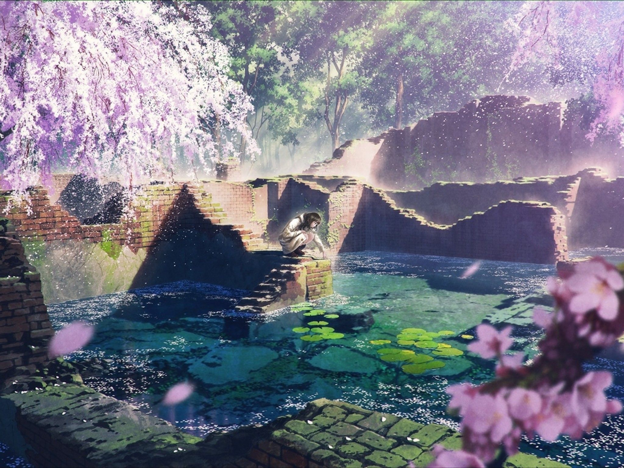 Download 2048x1536 Anime Landscape, Cherry Blossom, Anime Girl