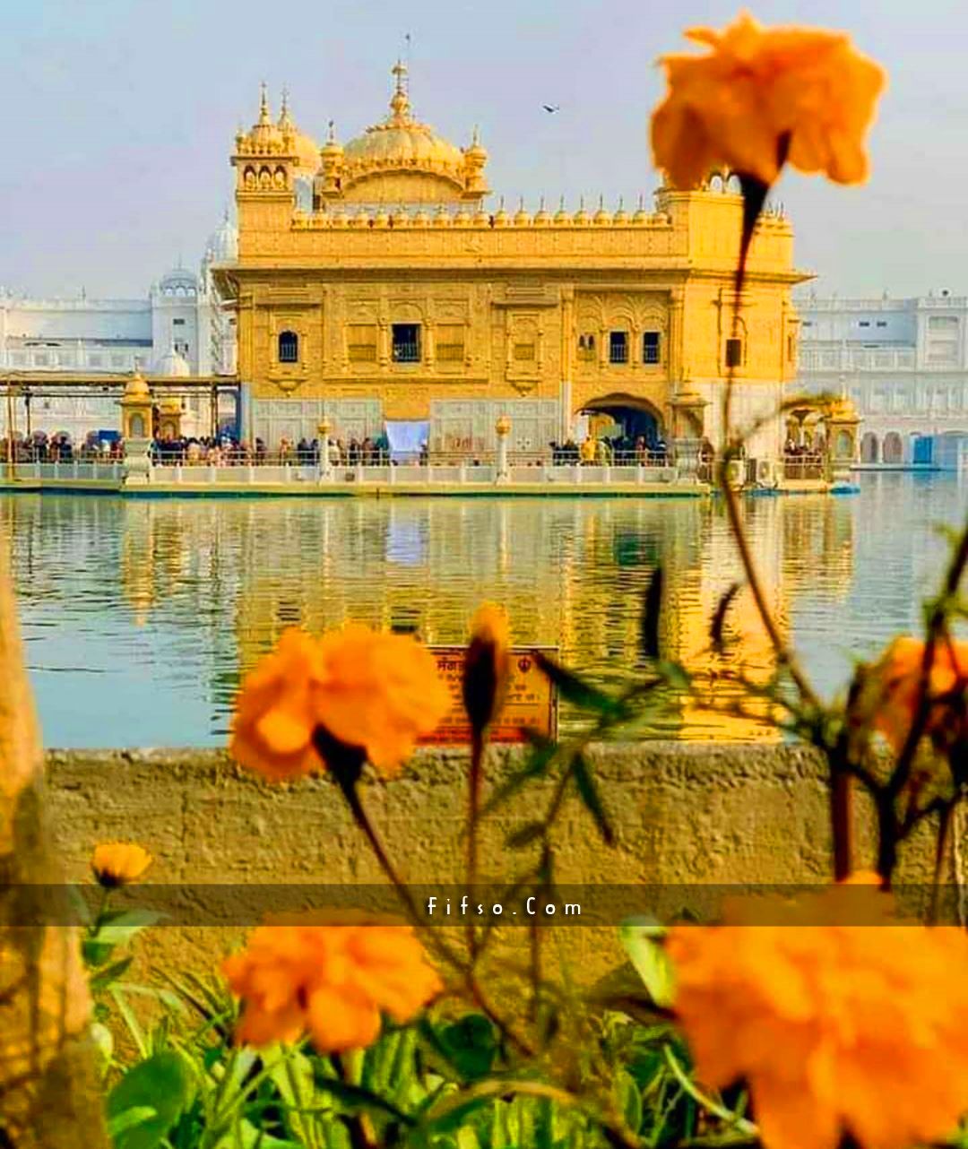 Anhad Gurbani - Golden Temple, Amritsar Wallpaper for your Mobile/Computer  etc. | Facebook