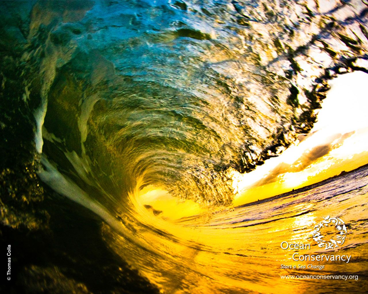 Summer Waves wallpaper Crazy Frankenstein 1280x1024