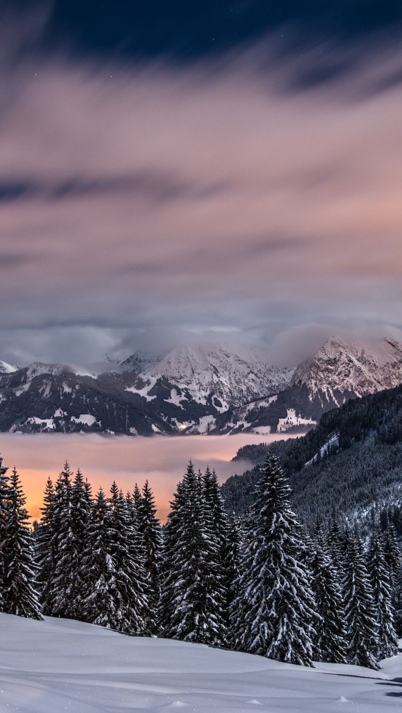 Download wallpapers 800x1420 winter, mountains, snow, trees