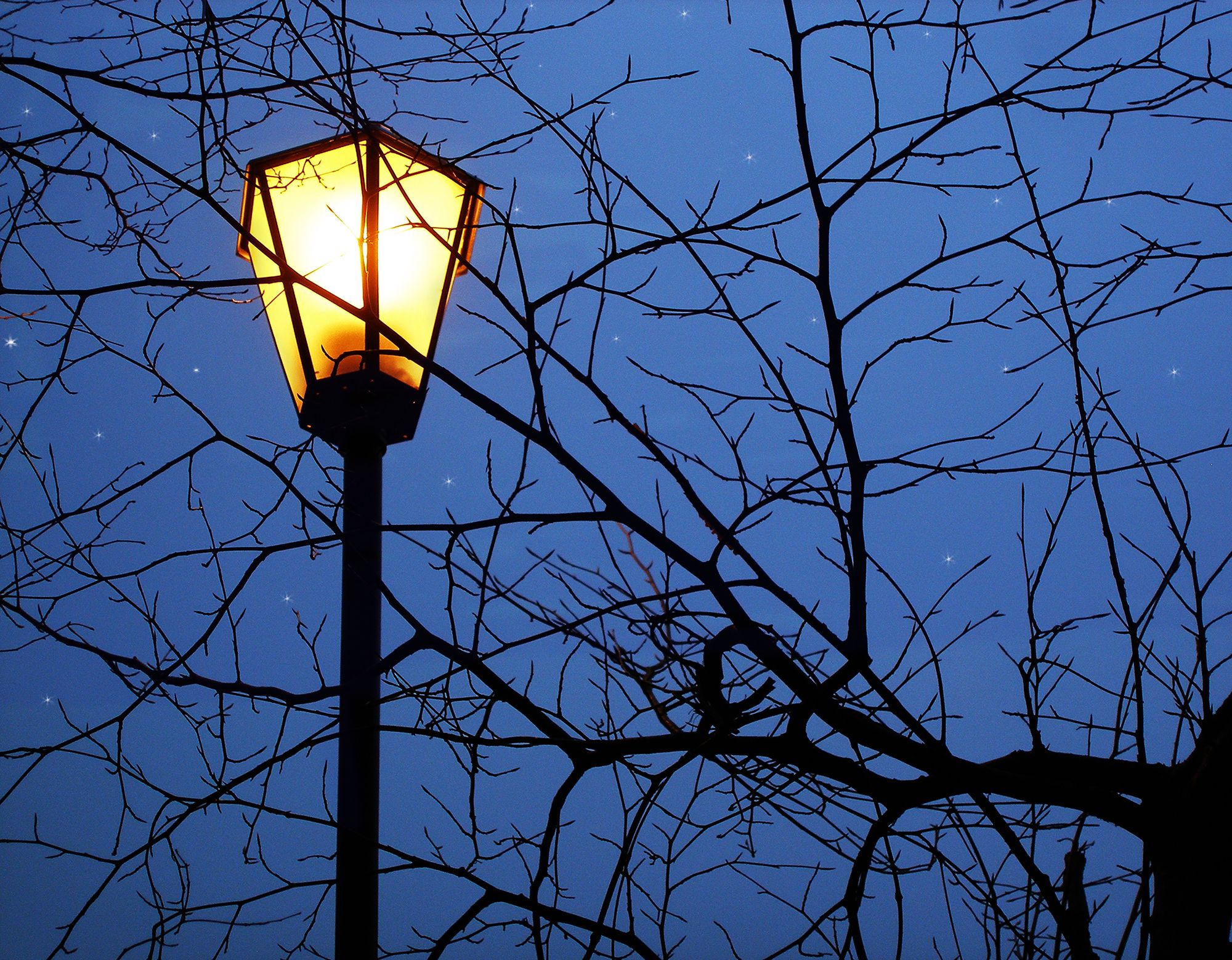 Lamp Post HD Wallpaper and Background Image