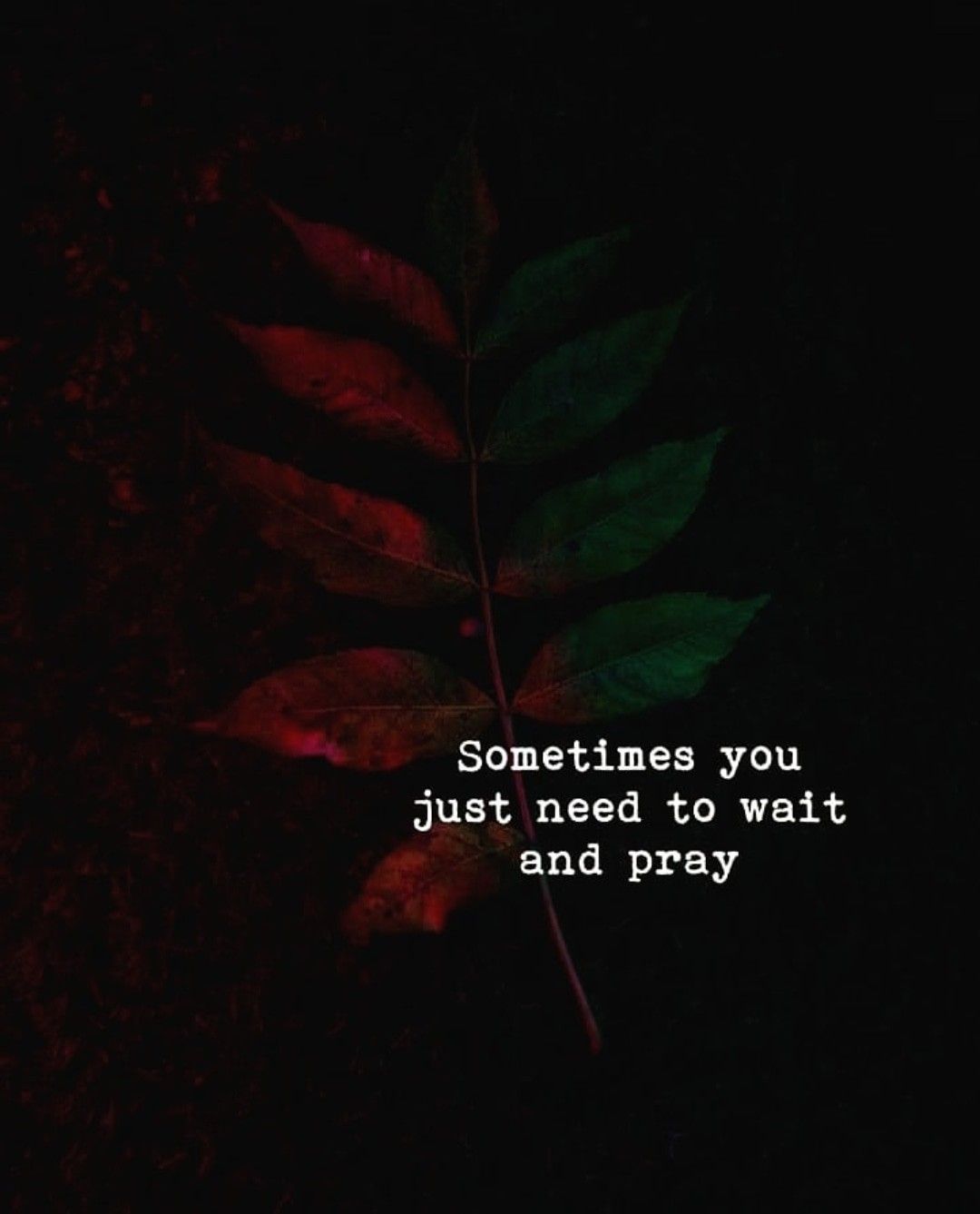 Life quotes