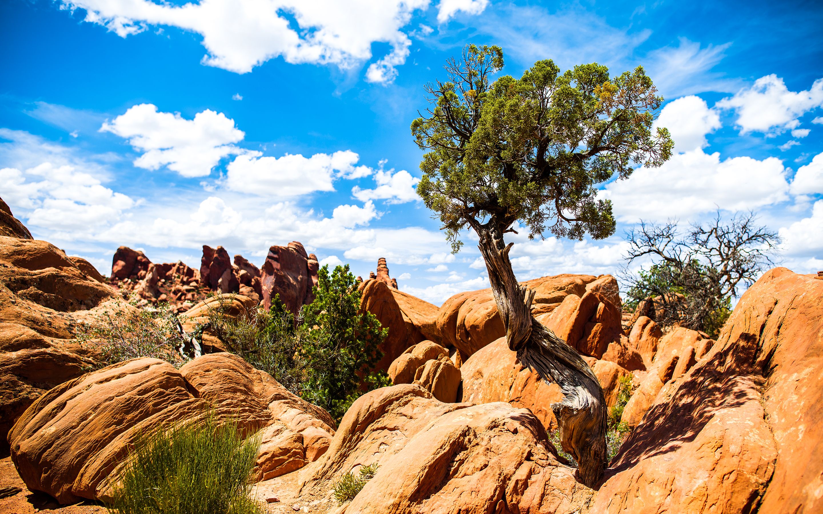 Arches National Park Wallpaper