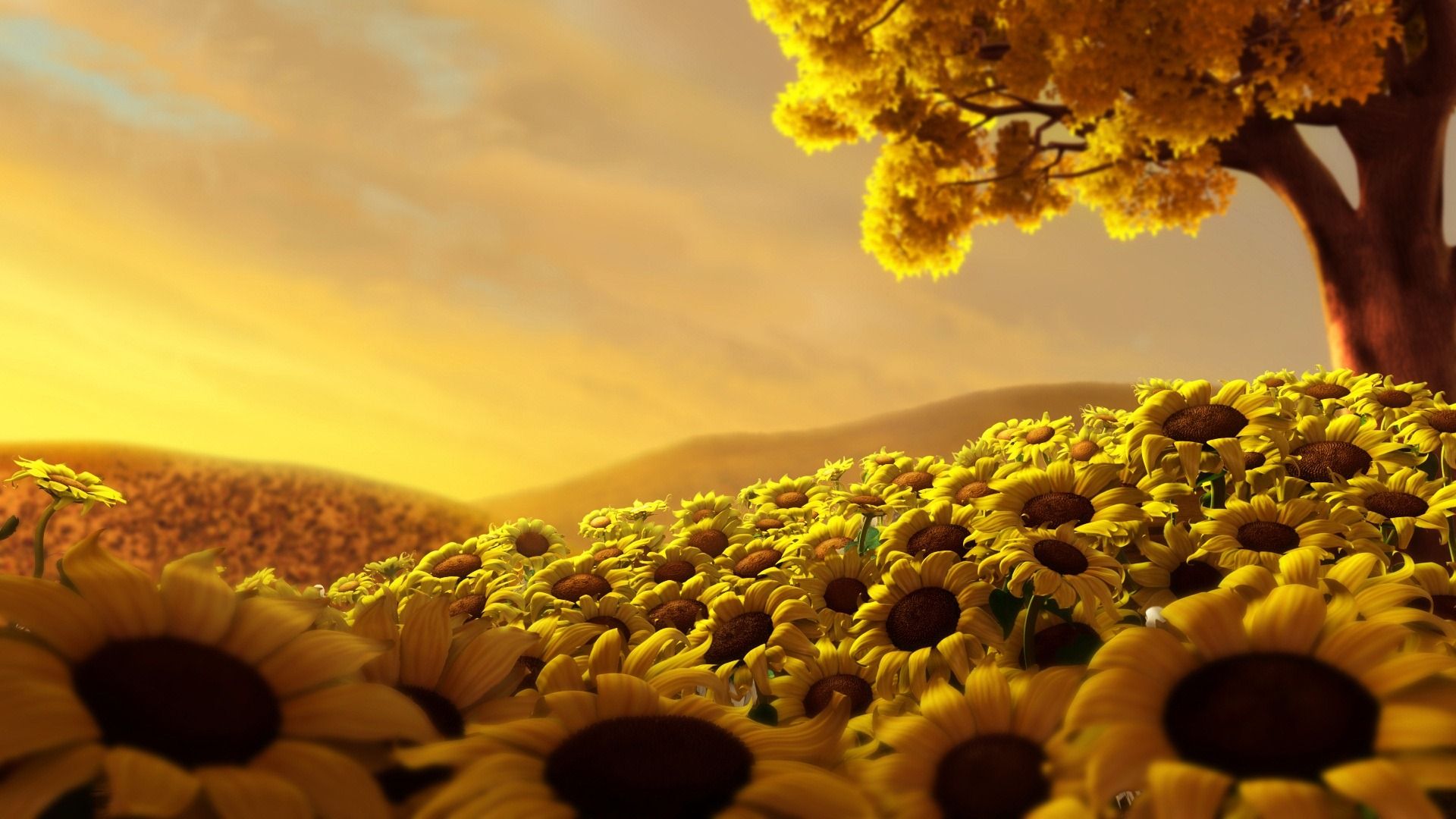 Summer Yellow Flowers, High Definition, High Quality, Widescreen