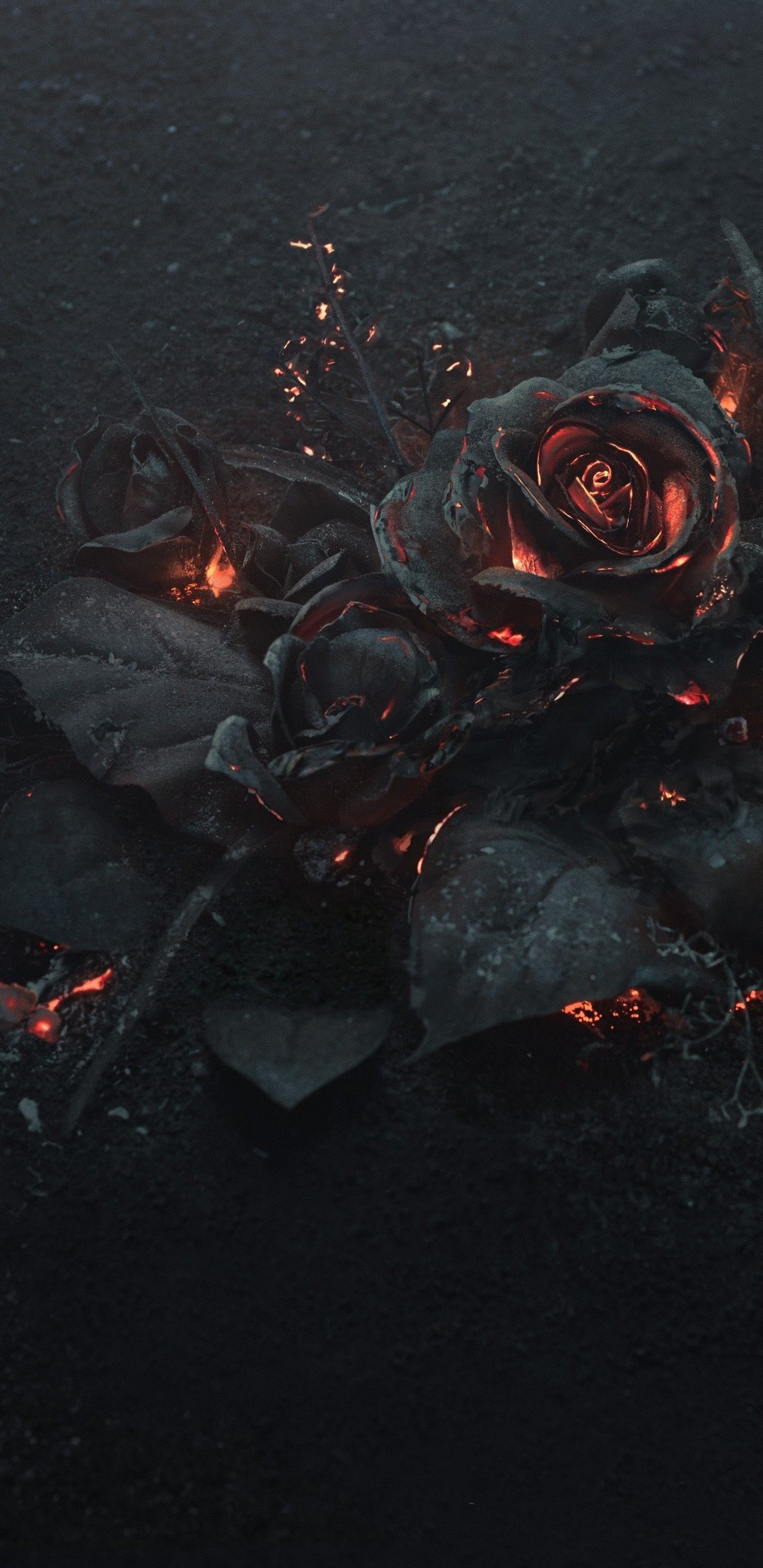 Download 1440x2960 Rose Ashes, Fire, Black, Dark Theme Wallpaper