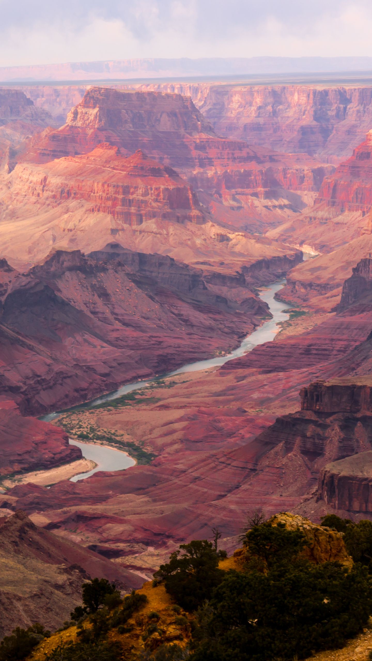Earth Grand Canyon (1440x2560) Wallpaper