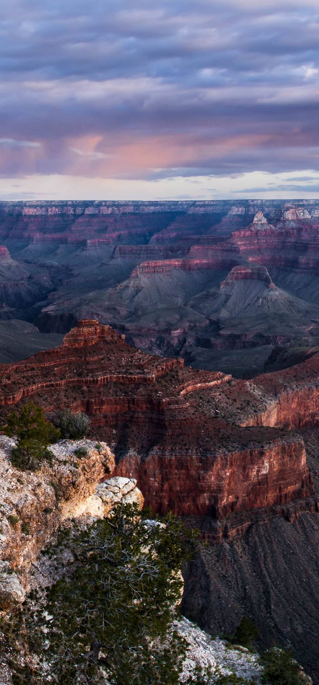 Grand Canyon Wallpaper - [1080x2316]