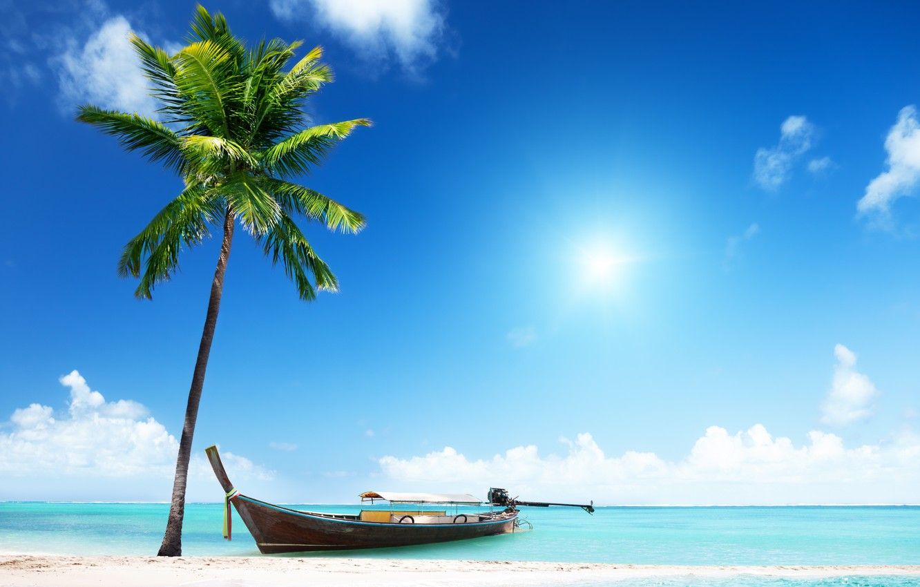 Wallpaper sand, sea, beach, the sun, palm trees, shore, boat