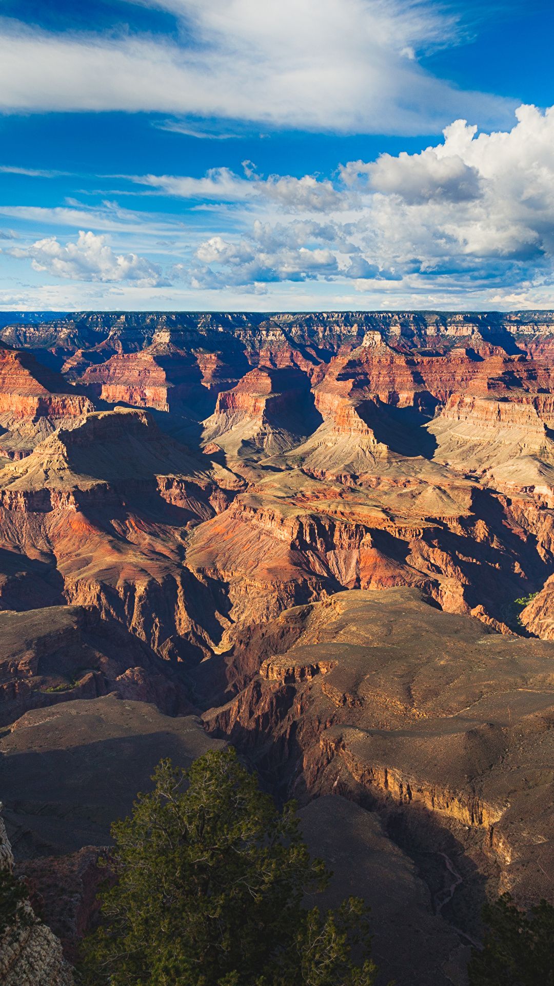 Photos Grand Canyon Park USA Nature Mountains Sky Parks 1080x1920