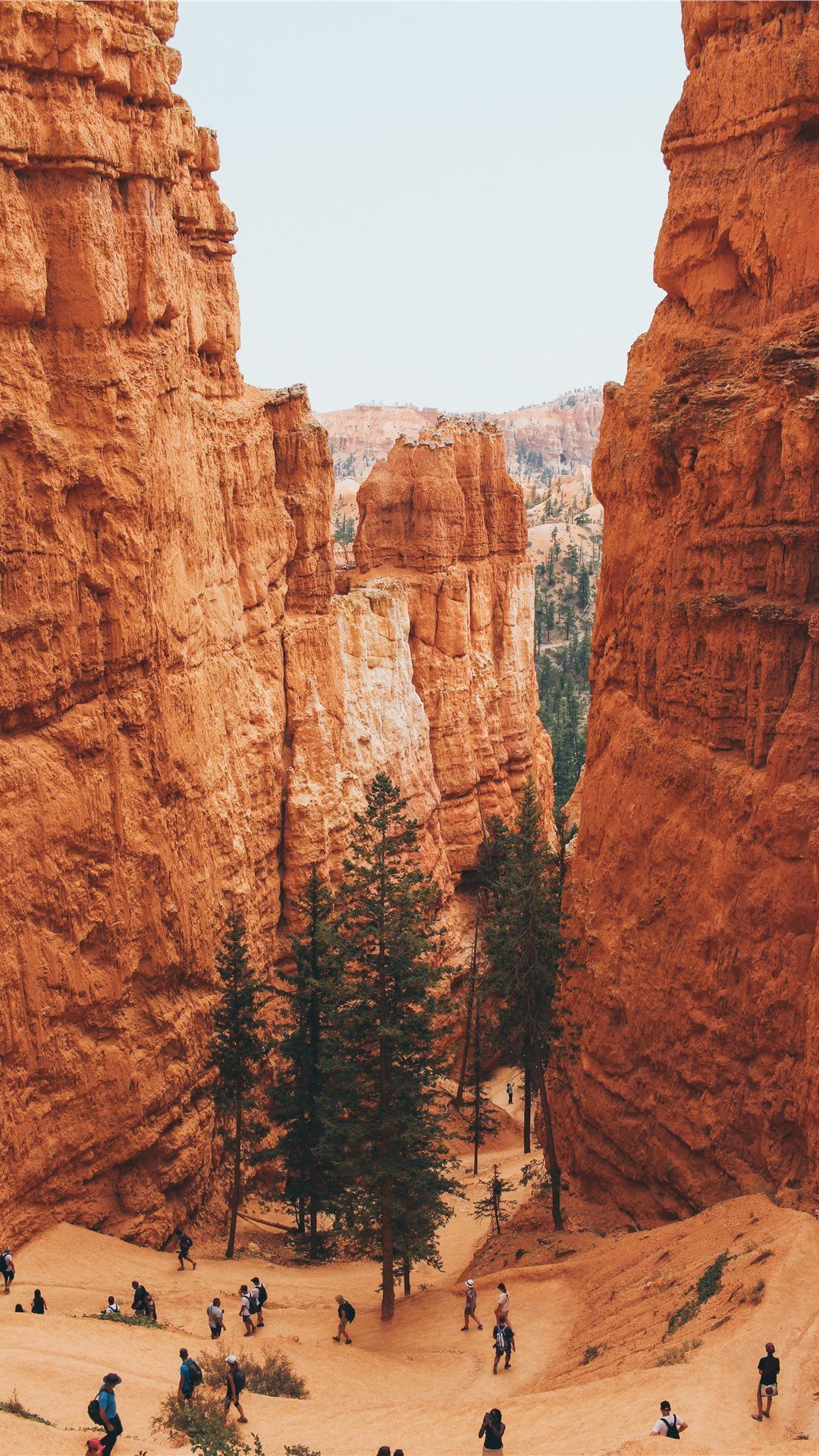 Bryce Canyon United States iPhone 8 Wallpaper