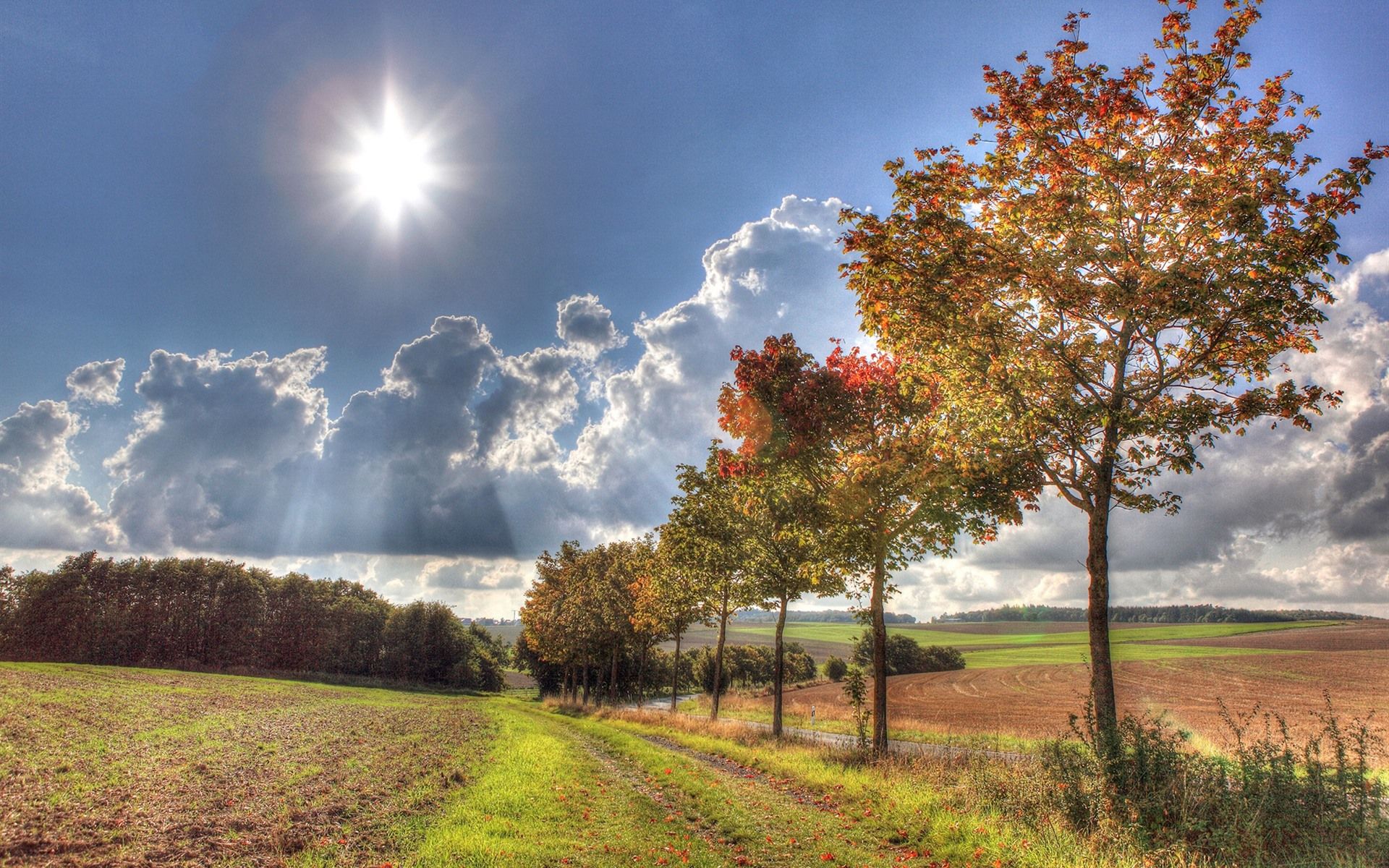 Wallpaper Trees, grass, clouds, sun, autumn 1920x1200 HD Picture