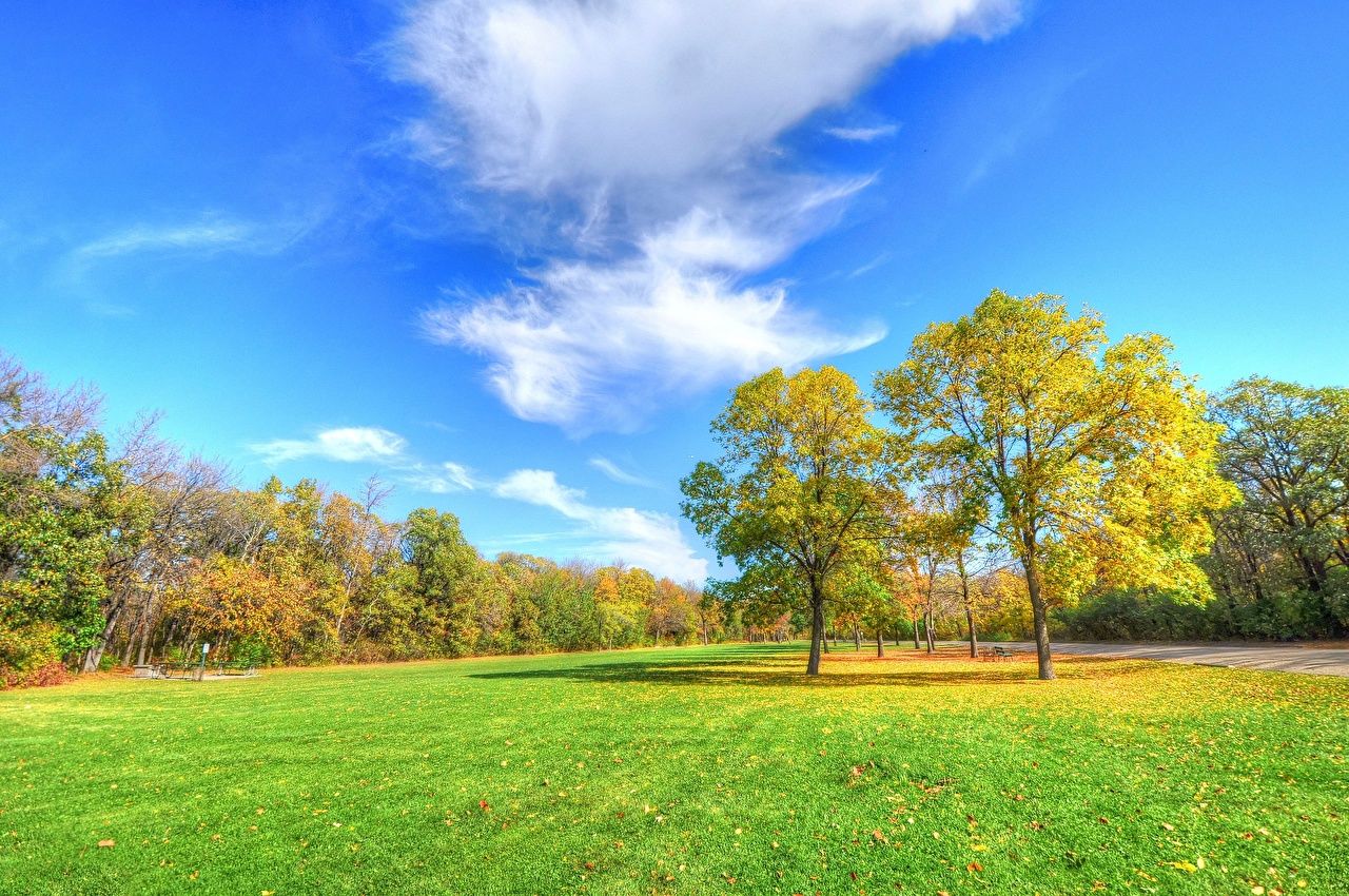 Wallpaper Nature Autumn Sky Grass Trees Clouds Seasons