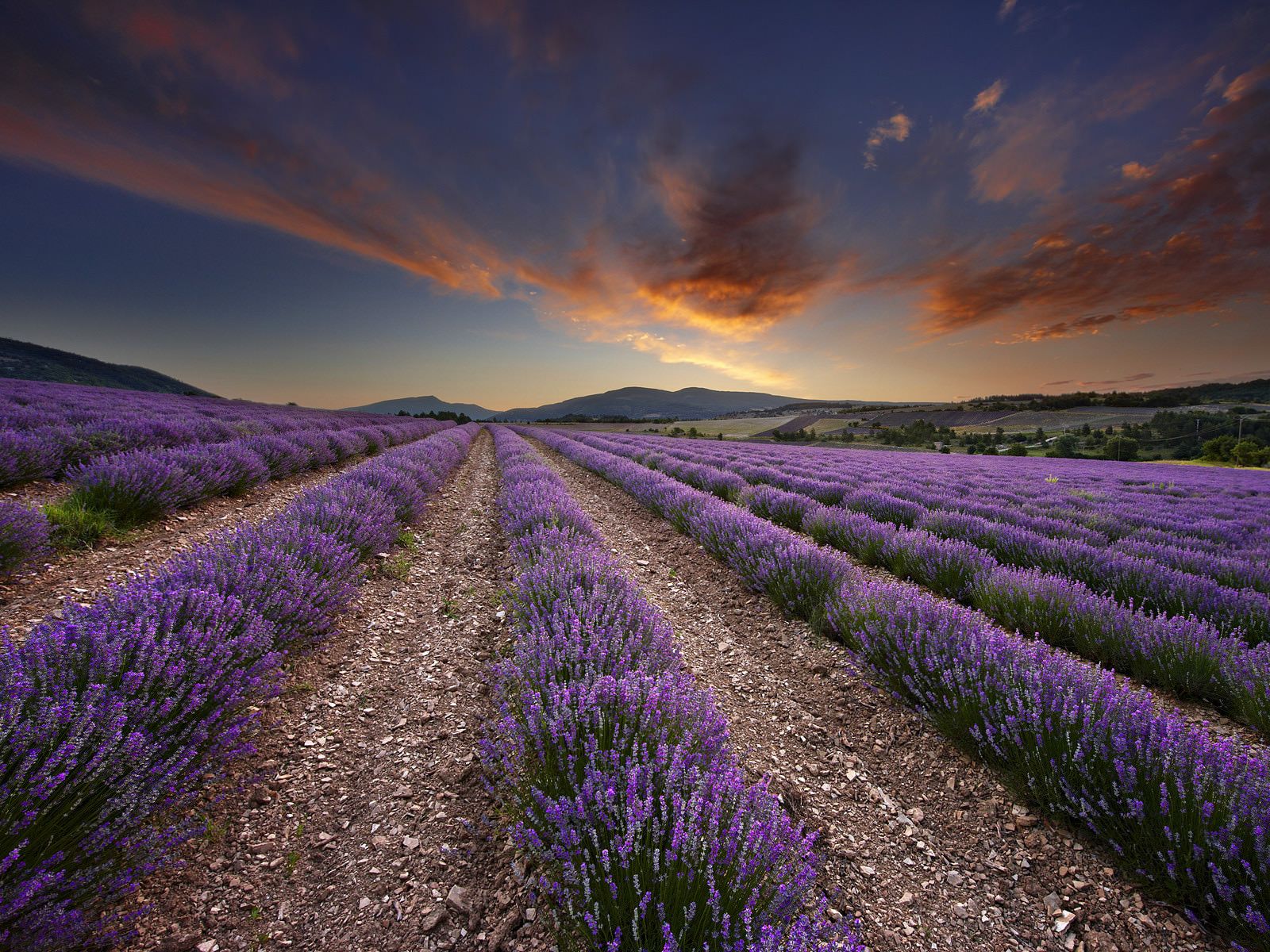 Provence France Wallpaper Free Provence France Background