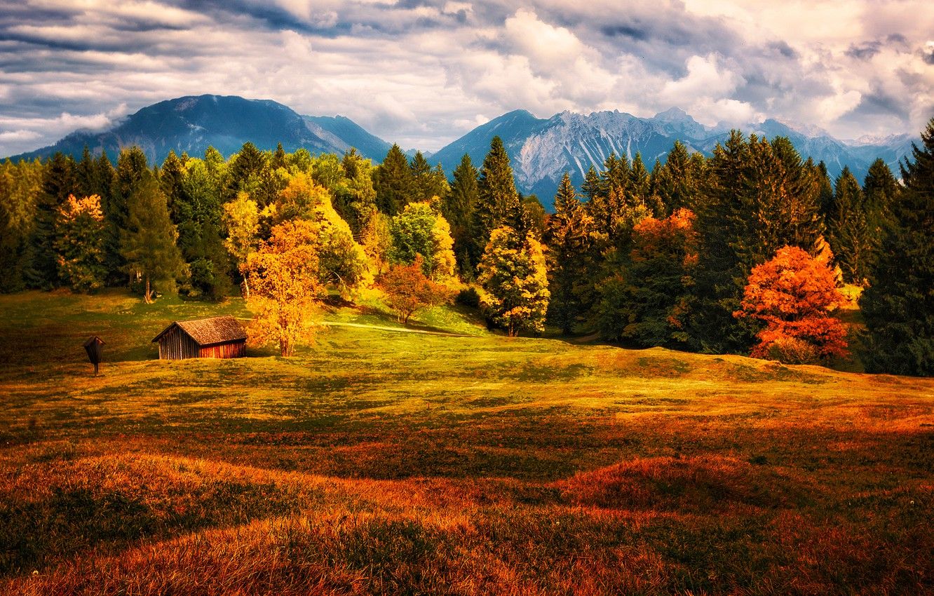 Wallpaper field, autumn, forest, grass, bright colors, clouds