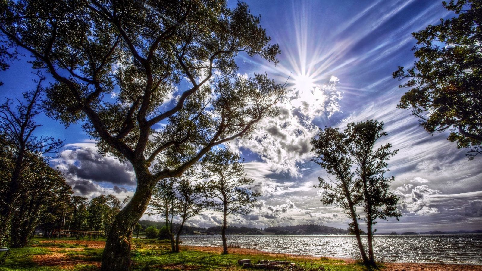 Download wallpaper 1600x900 sun, light, clouds, colors, trees