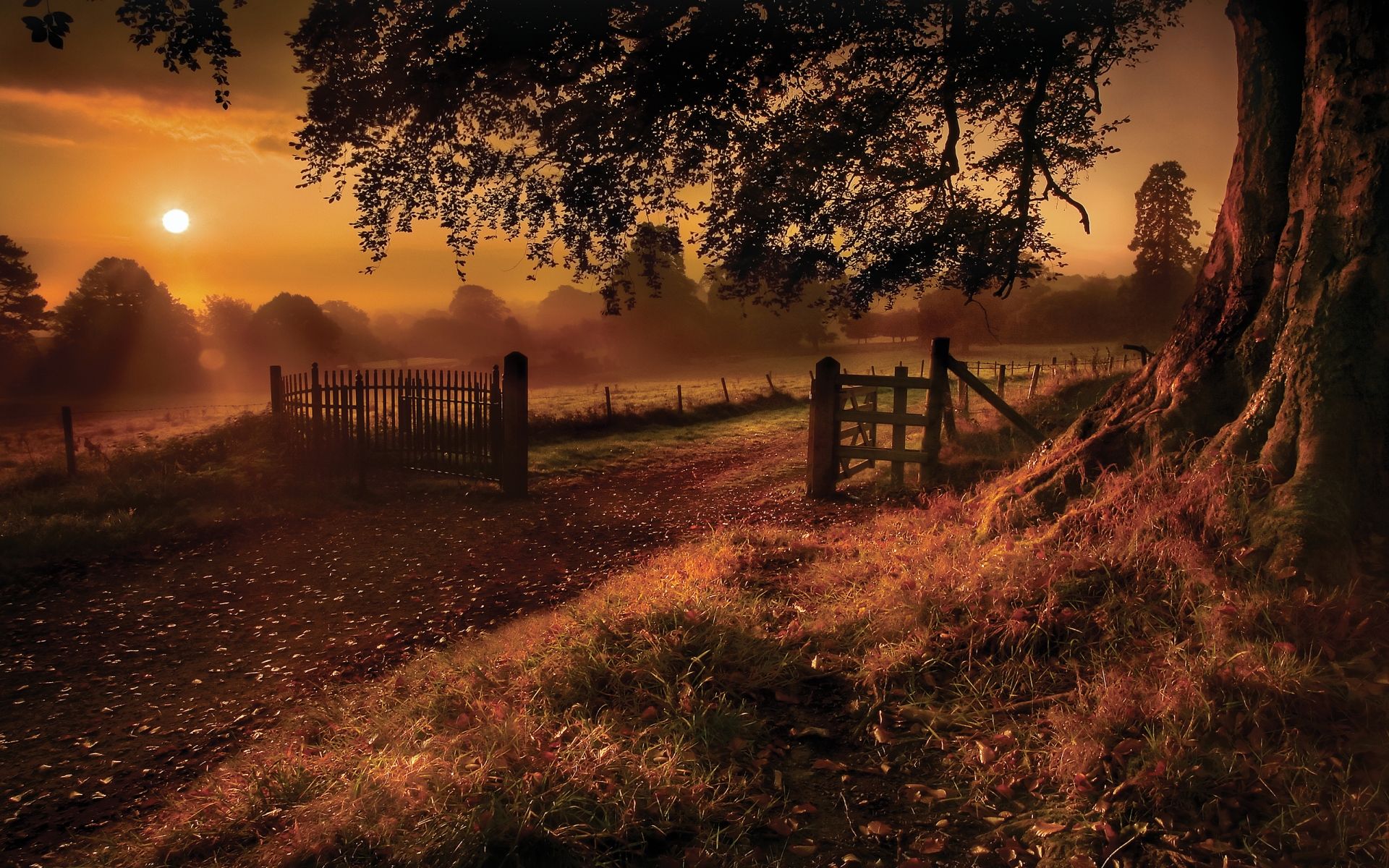 nature, Landscapes, Roads, Fields, Path, Fence, Gate, Trees, Grass