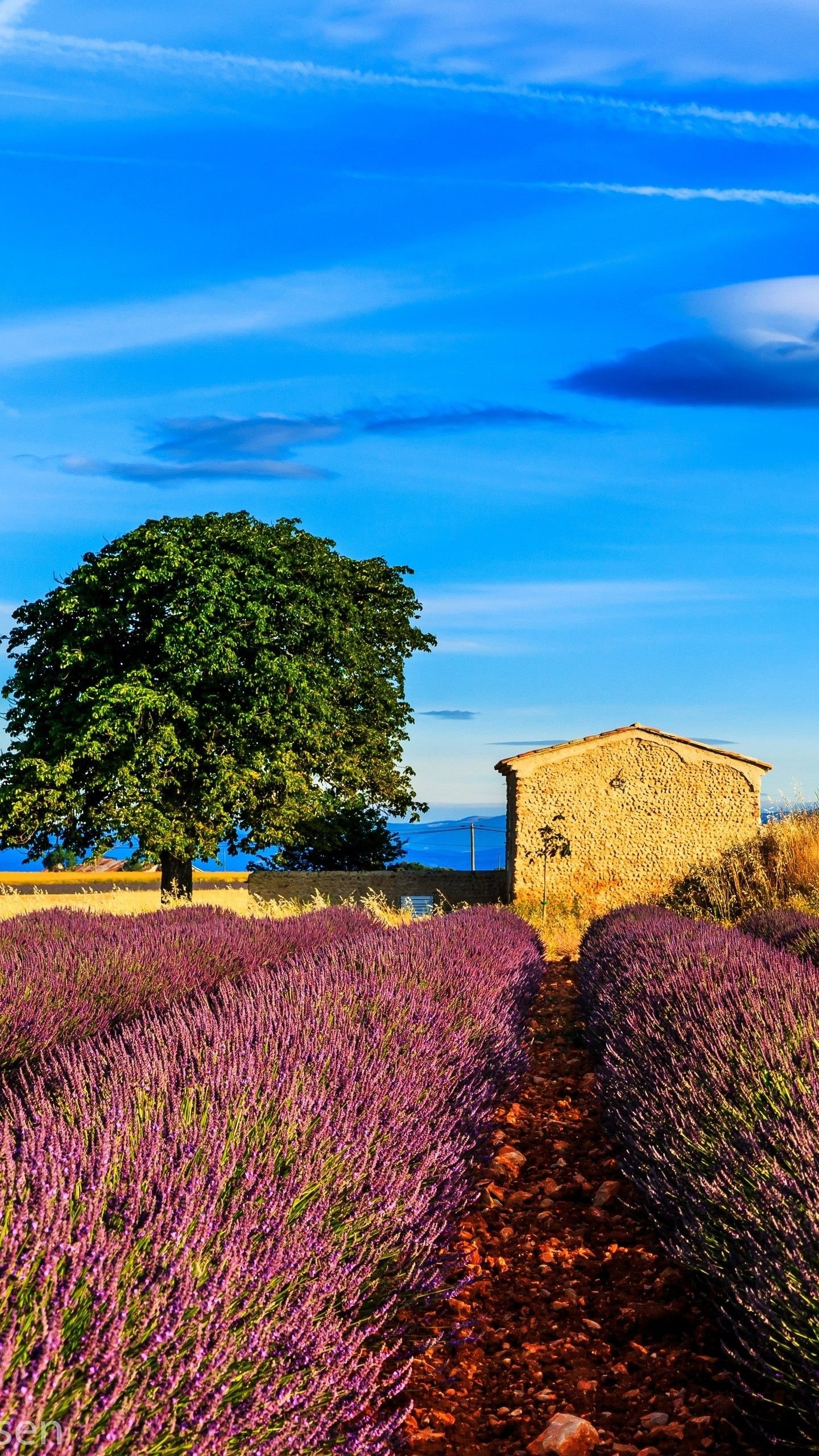 Provence Wallpaper