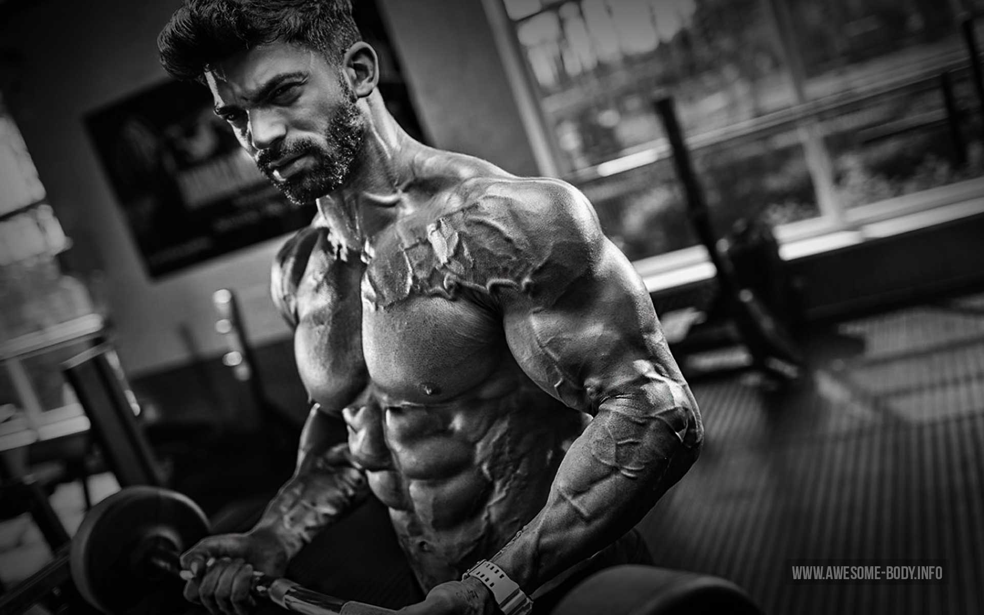 Sergi Constance Wallpaper