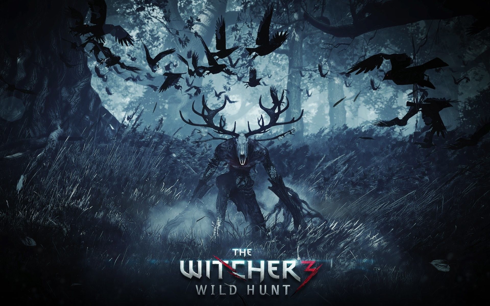 The Witcher 3 HD Wallpaper