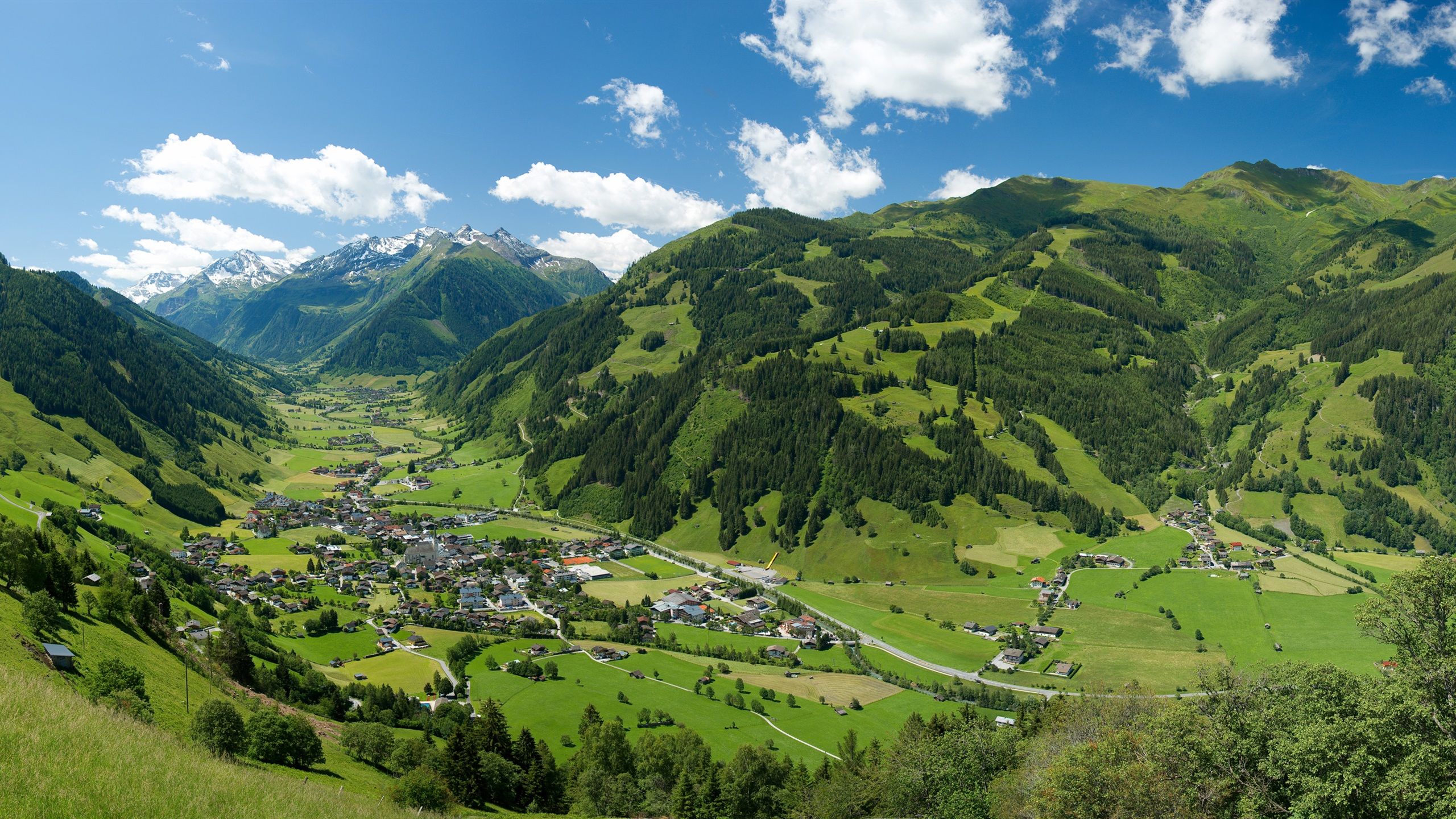 Wallpaper Austrian Alps, mountains, trees, village, houses, top