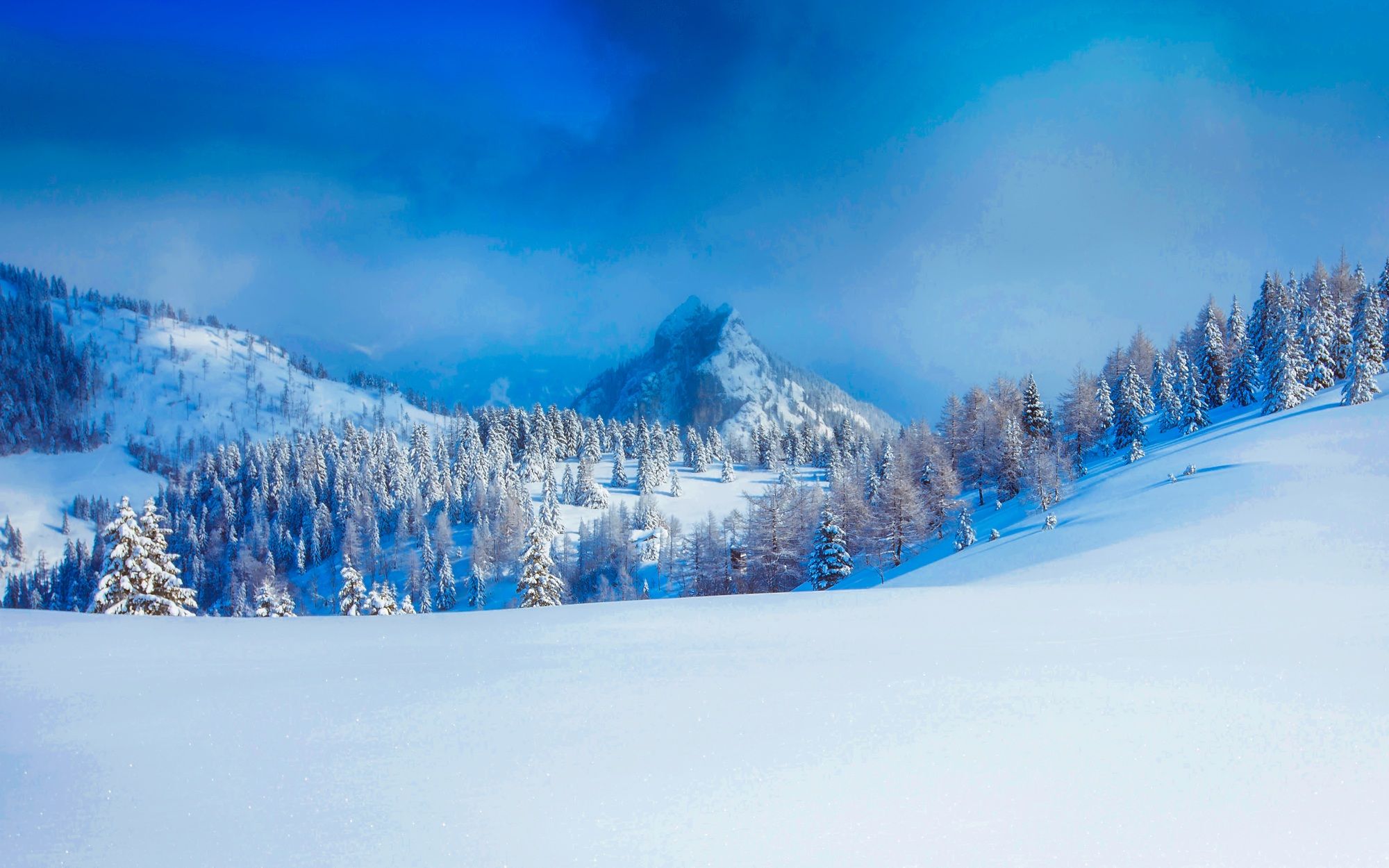 Winter Forest in the Austrian Alps HD Wallpaper. Background Image