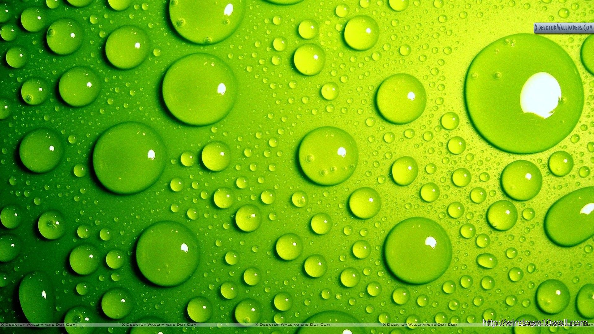 Green Bubbles Style Background Wallpaper 10 Wallpaper