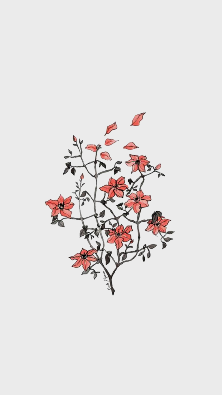 Flower wallpaper. Flower wallpaper, Minimalist