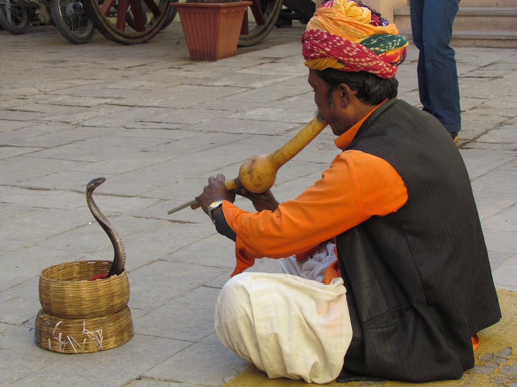 snake charmer at Amber palace