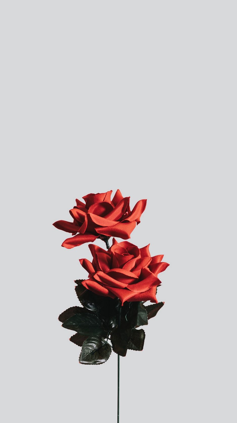 Wallpaper Rose, Flower, Artificial, Minimalism Flower