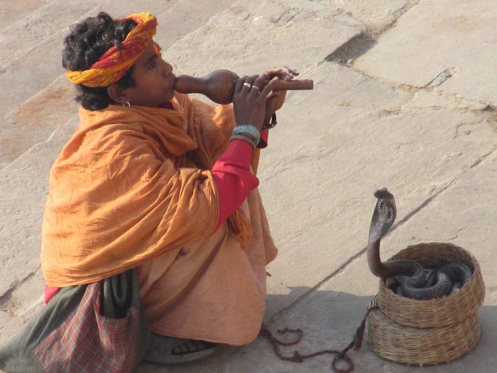 Young snake charmer Travel Forum