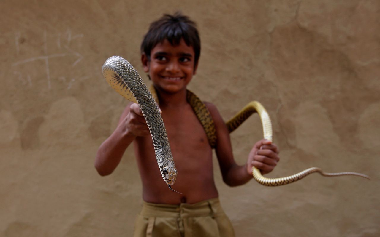 Charming snakes