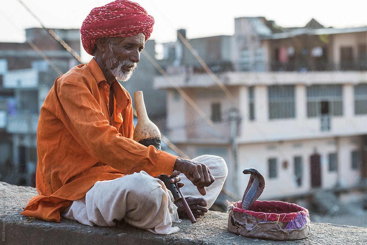 snake charmer with a cobra by Ibex.media