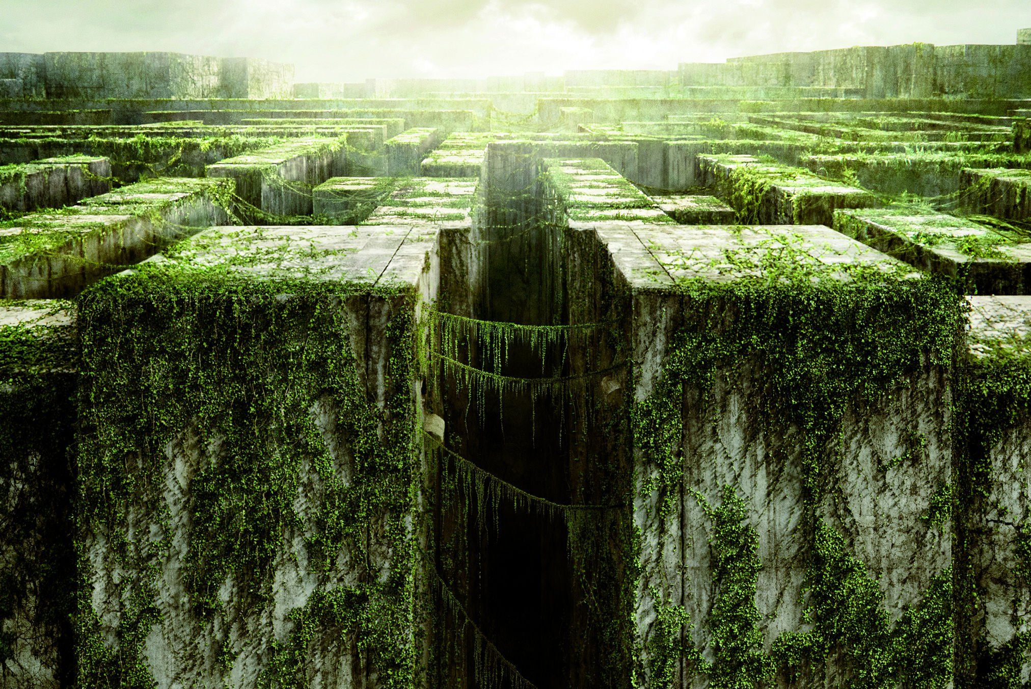 The Maze Runner Background. Android