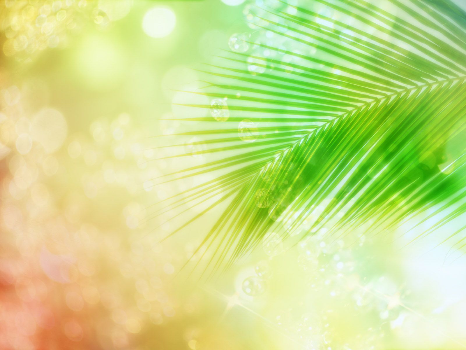 Green Wedding Invitation Background Designs. The Art Mad Background