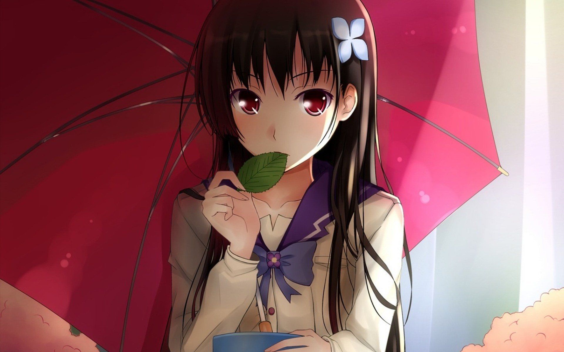 Sankarea Wallpapers Wallpaper Cave