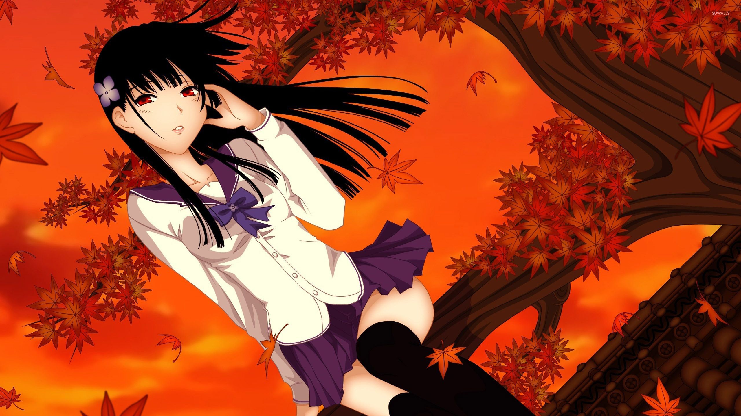 Sankarea Wallpaper. Sankarea Wallpaper, Sankarea Undying Love Wallpaper and Babu Sankarea Wallpaper