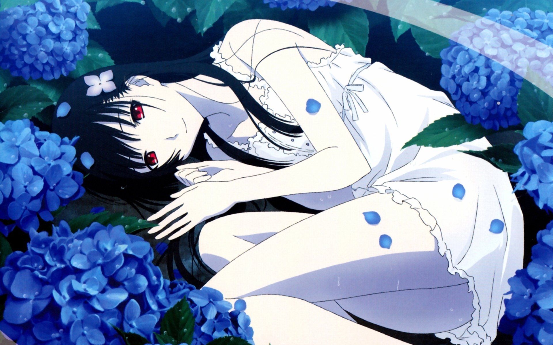Sankarea HD Wallpaper and Background Image
