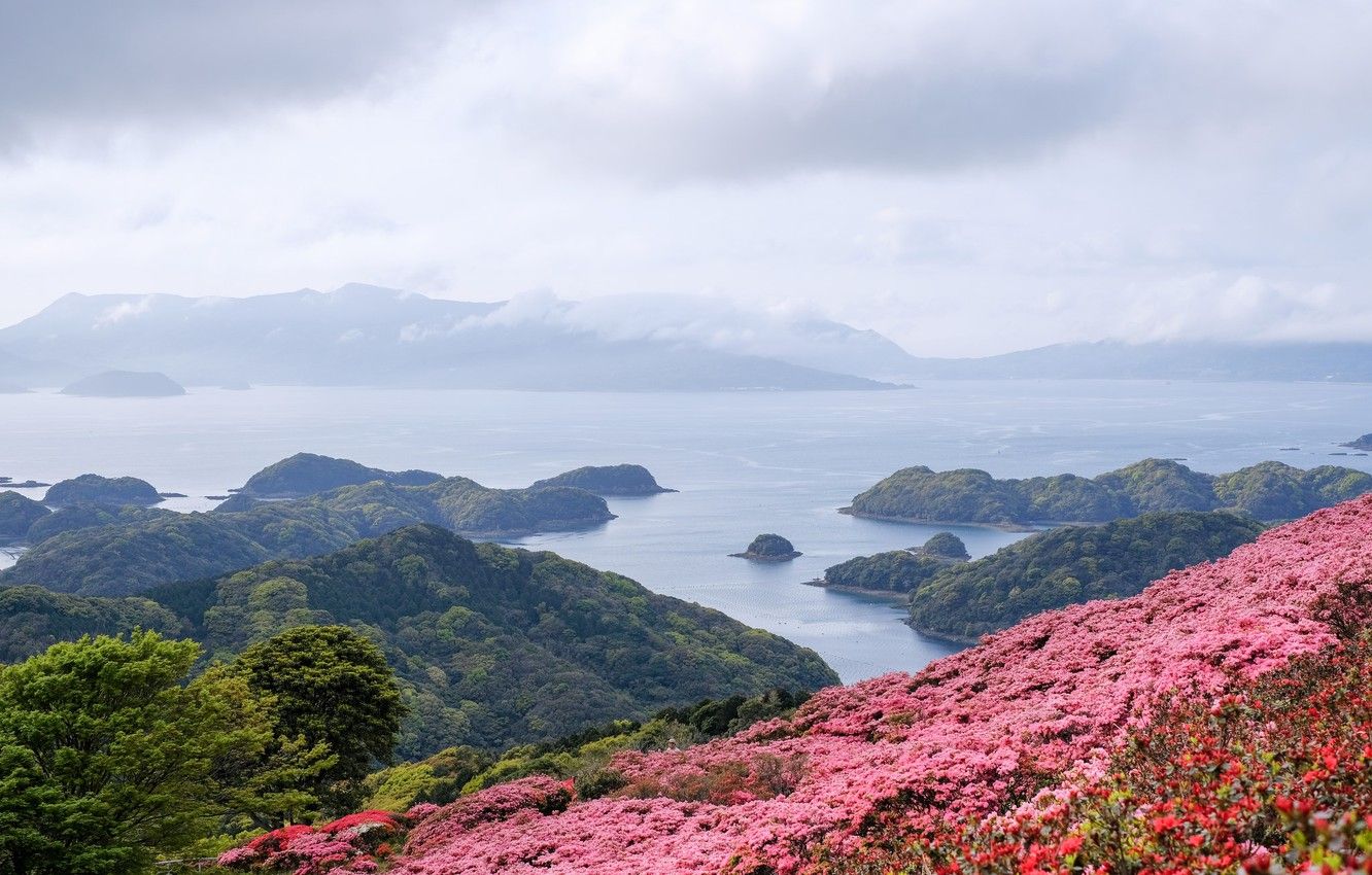 Wallpaper sea, Islands, flowers, Japan, panorama image