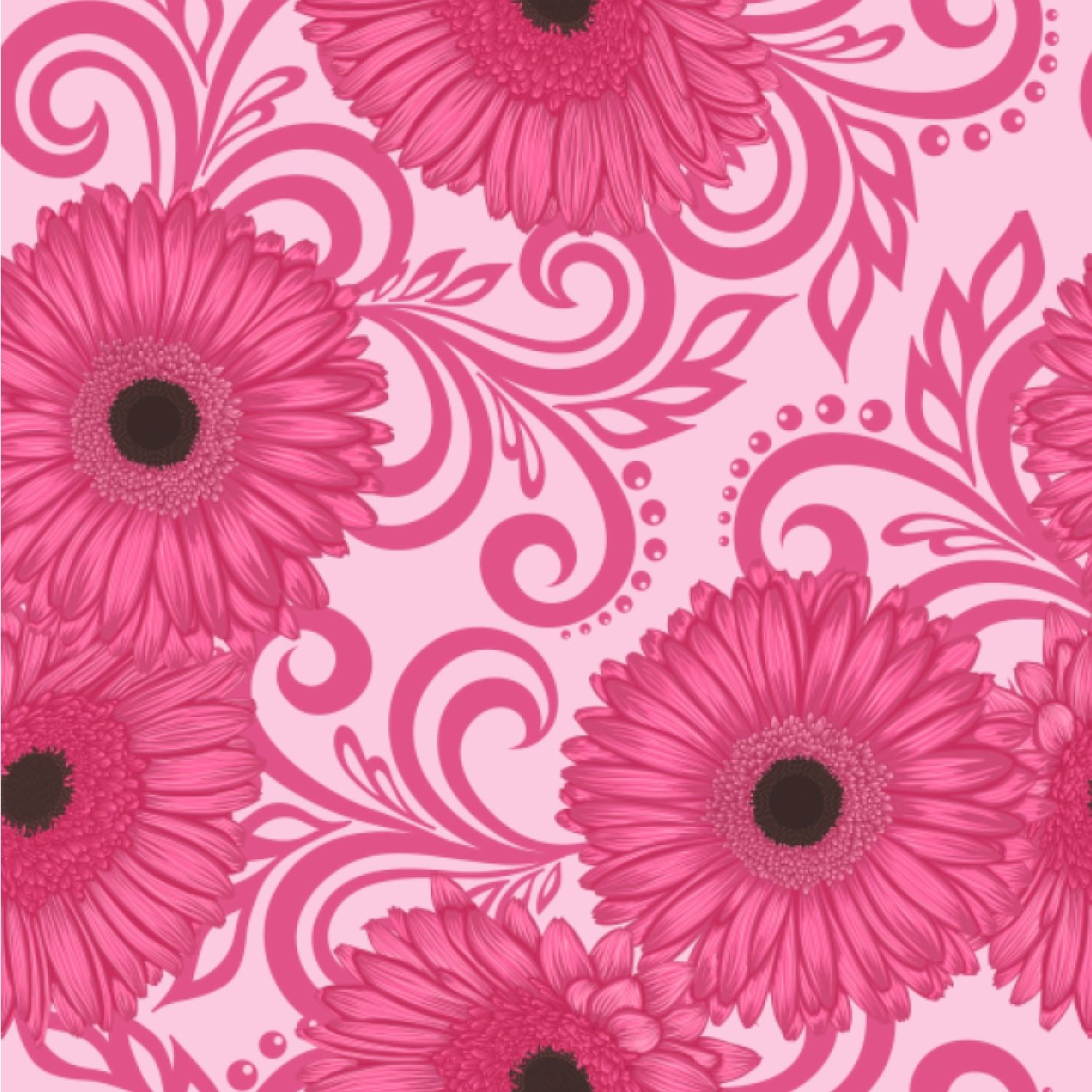 Gerbera Daisy Wallpaper & Surface Covering Daisy Wallpaper & Background Download